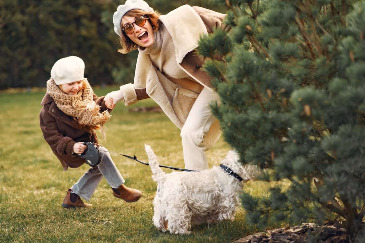 What Is Required for Refinancing a Mortgage